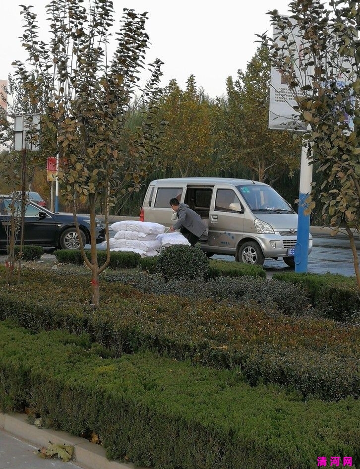 xc_5a0bb7f603636.jpg