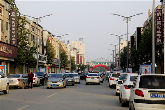 10781026_877809.jpg