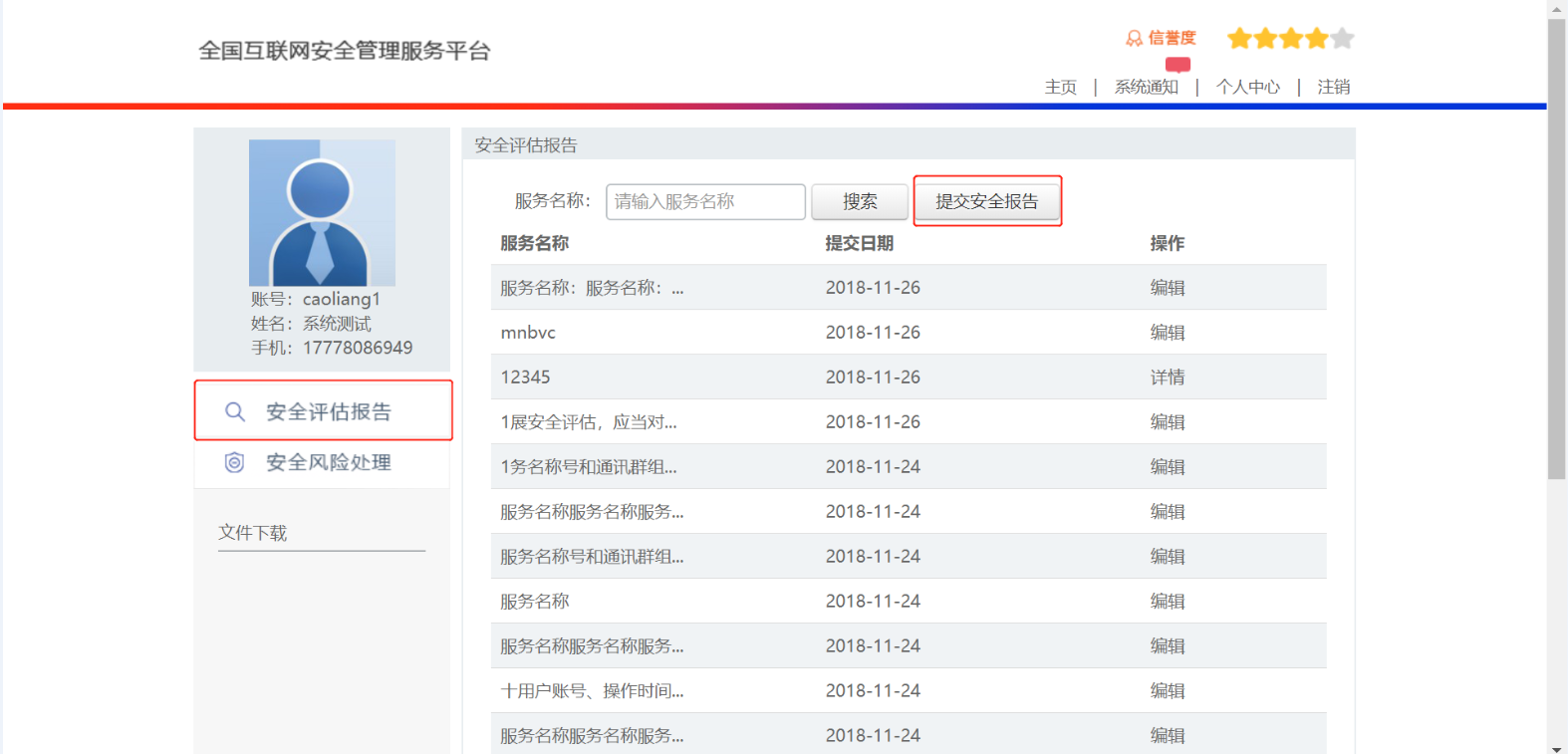 安全评估报告