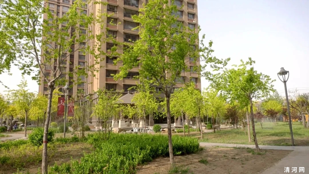 王俊红督导检查文明城市创建工作