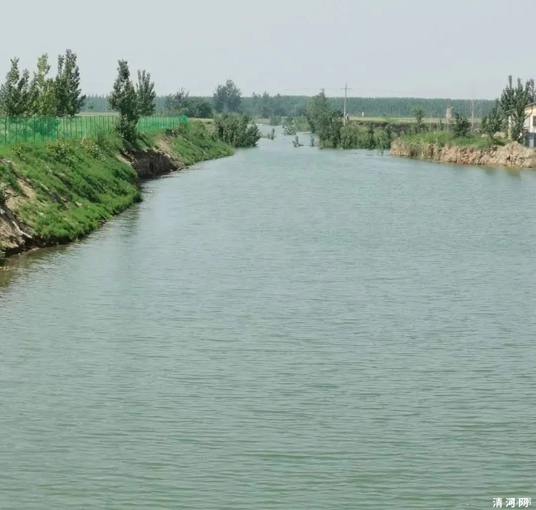 清河县这条干涸多年的河渠来水了！