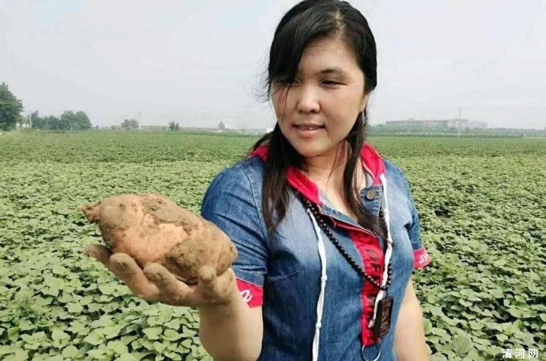 【邢襄好网民·脱贫故事】电商扶贫，让农特产品成网红