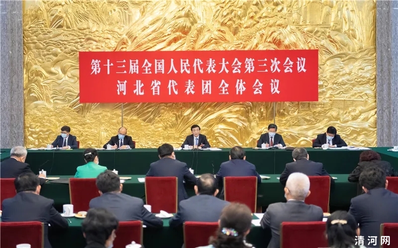 王沪宁参加河北省代表团审议
