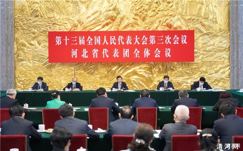 王沪宁参加河北省代表团审议
